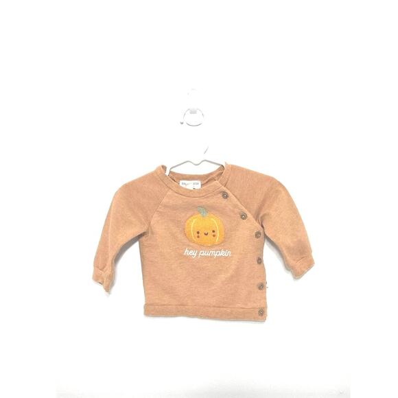 Rabbit +Bear pumpkin sweatshirt. Size 6-9 months. - Picture 1 of 8